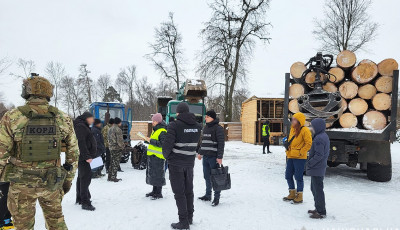Поліція Чернігівщини викрила злочинну групу «чорних» лісорубів у масштабних порубках деревини на десятки мільйонів гривень