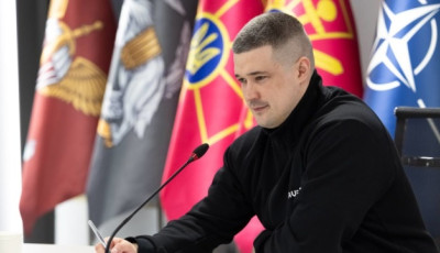 Федоров і Пісторіус обговорили пріоритетні напрямки підтримки України