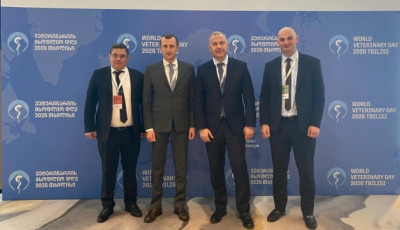 Україна експортуватиме яловичину до Грузії