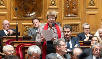 Сенаторка пояснила, чому французьке суспільство вразливе до російської дезінформації про Україну