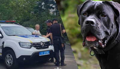 Внаслідок нападу собак загинула жінка: поліція Київщини розслідує обставини події
